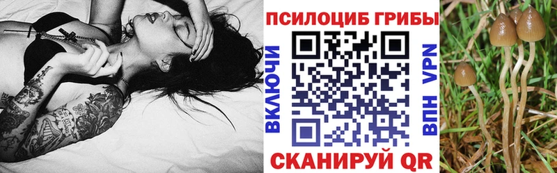 что такое наркотик  Плавск  Псилоцибиновые грибы MAGIC MUSHROOMS 